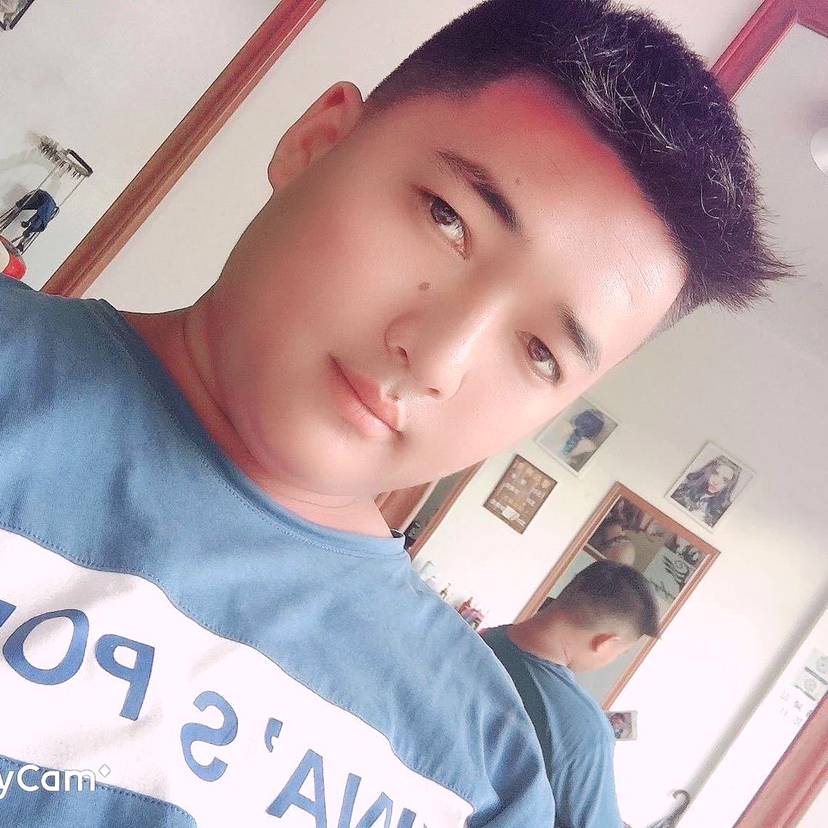 多情演变红玫瑰的照片