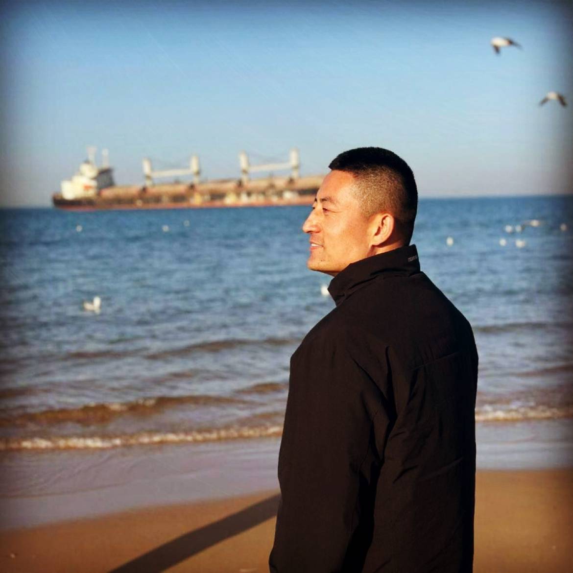 阳光下的向日葵照片