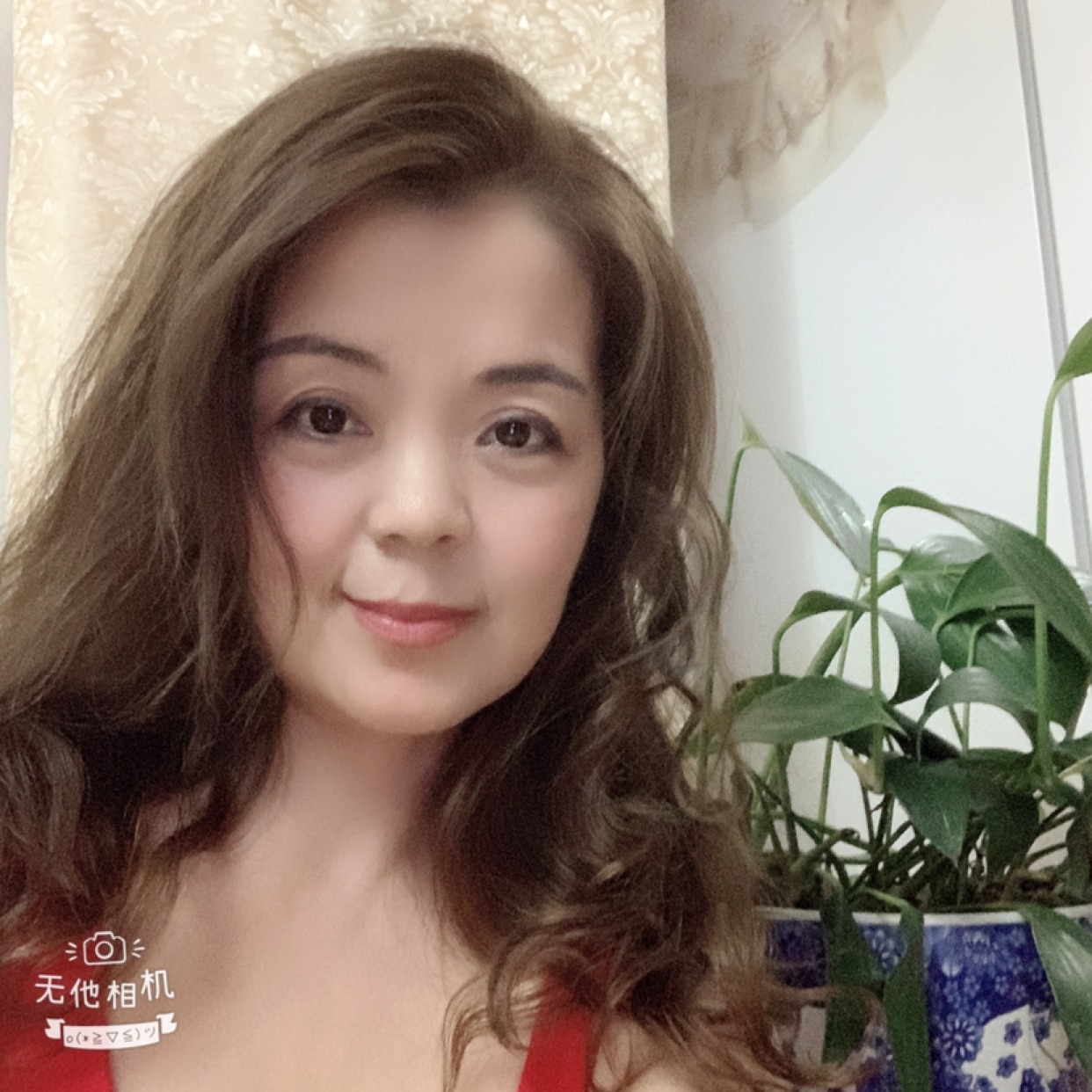 细小的竹子的照片