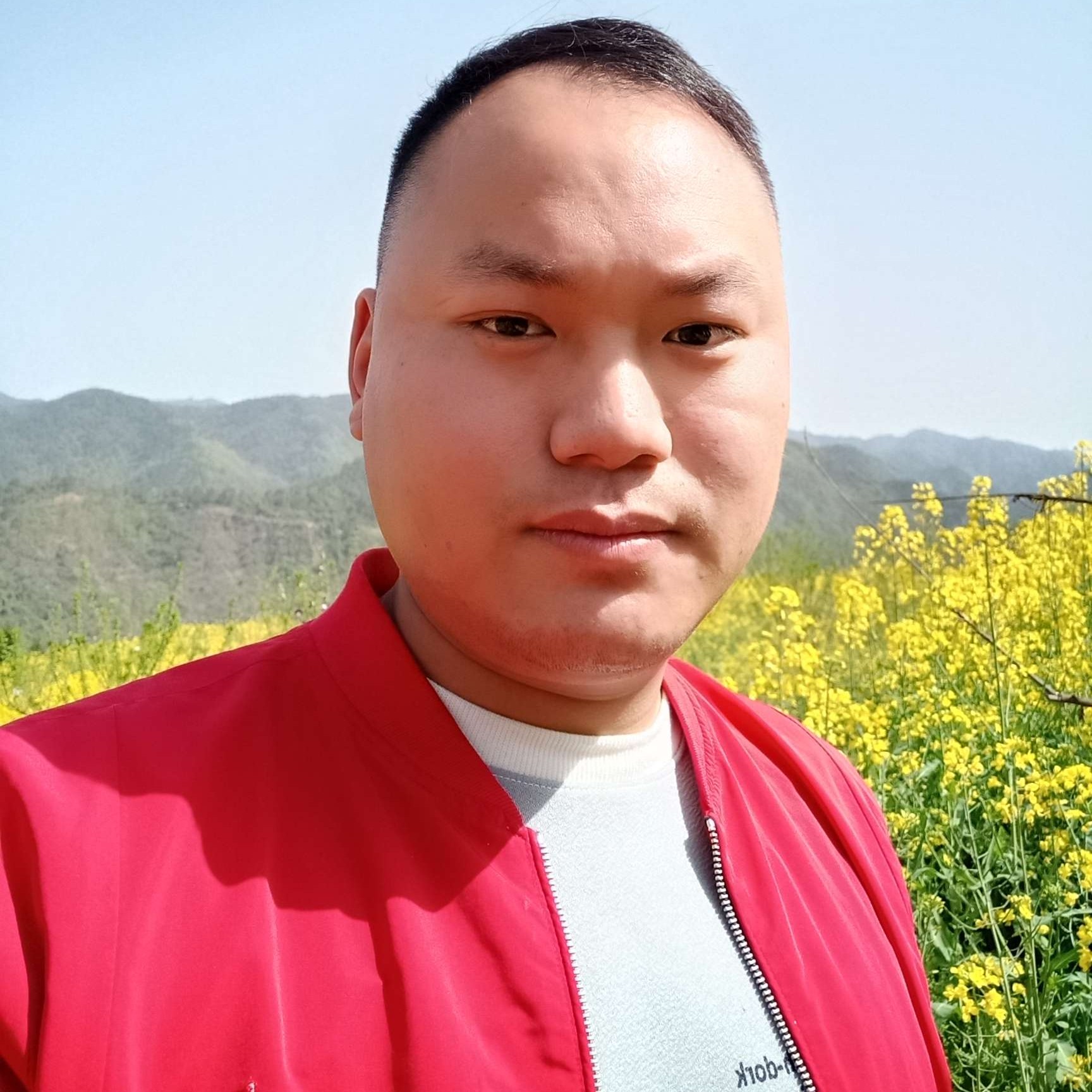 翩飞愿夏天的照片