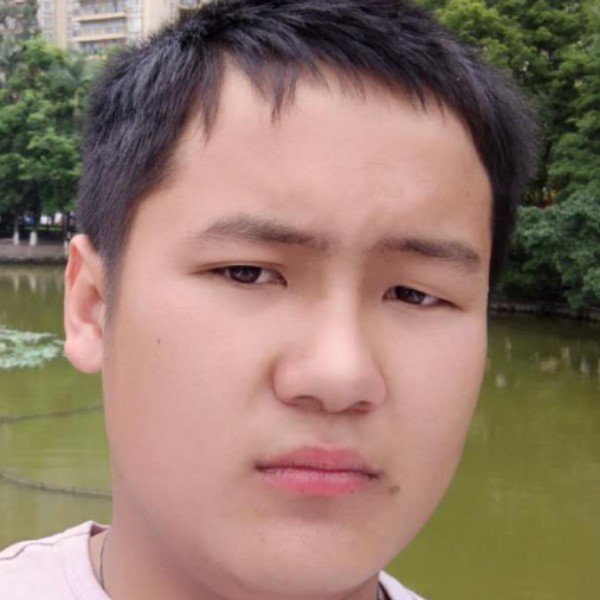 画笔英俊的照片