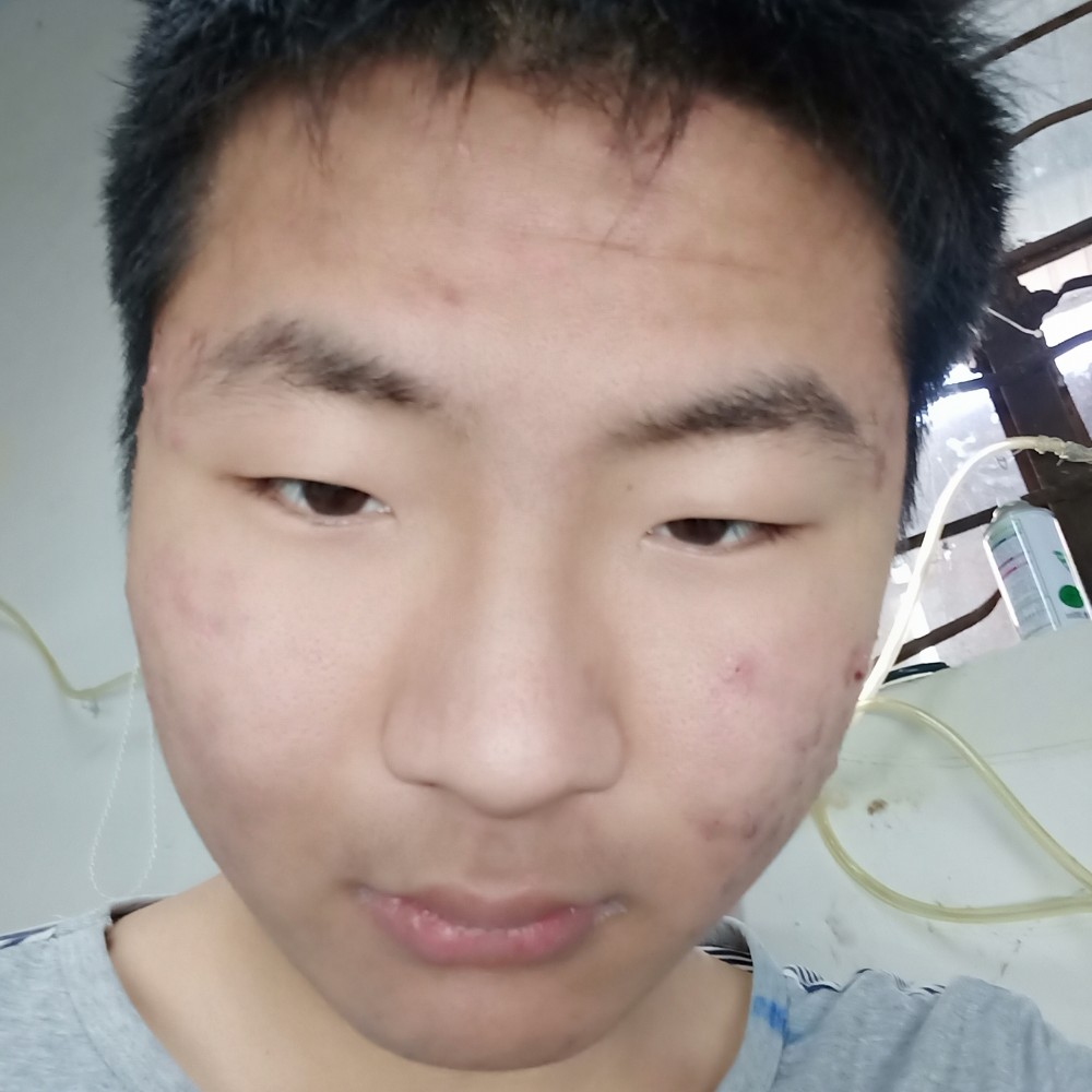 小蝴蝶用隐形的照片