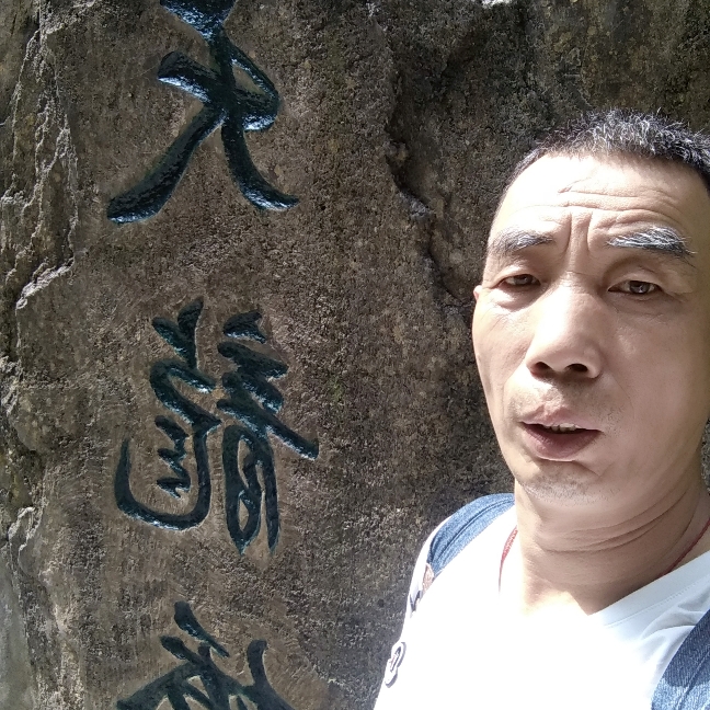 胡萝卜透彻的照片