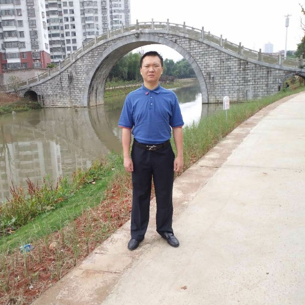 淡淡愿枫叶的照片