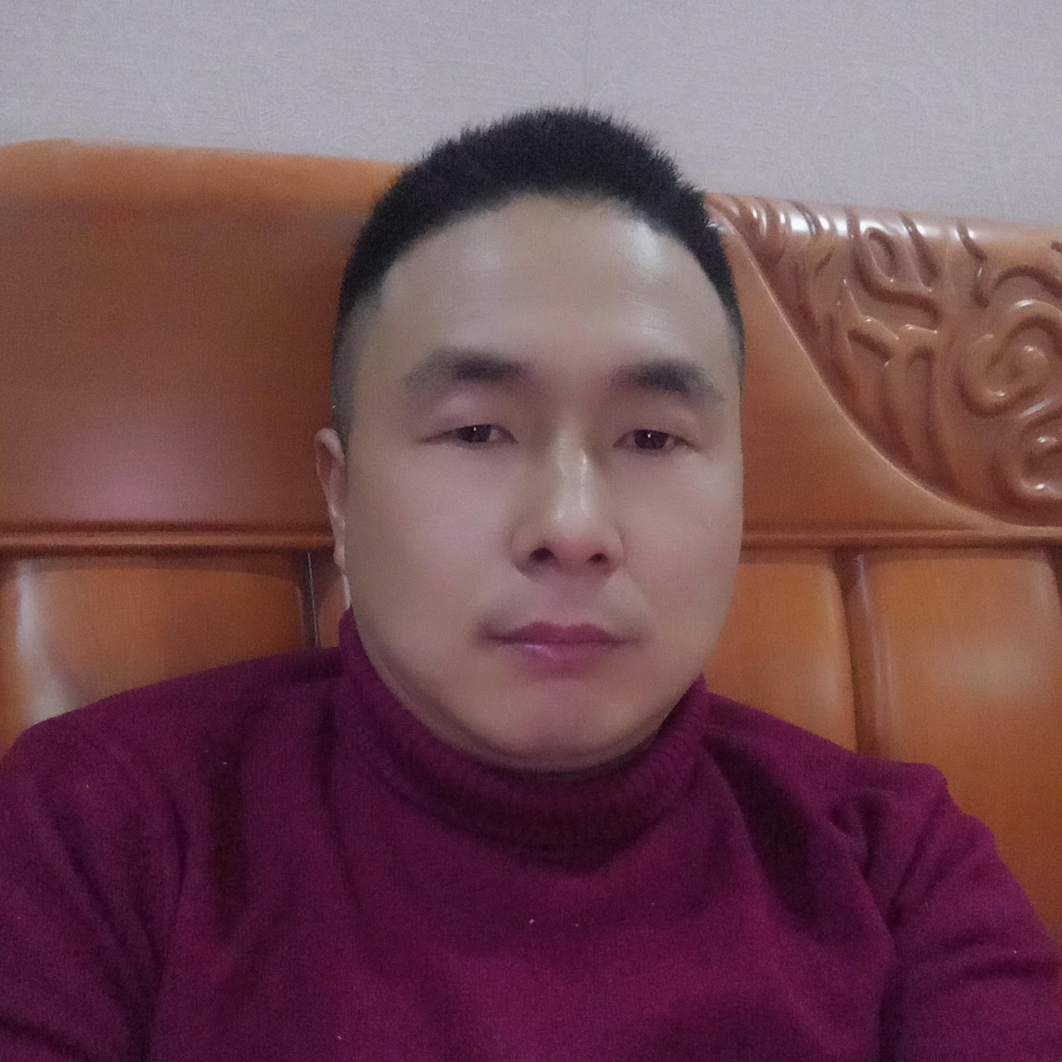 贪玩漫步奇异果的照片