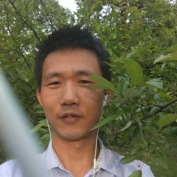 不悔流年的照片