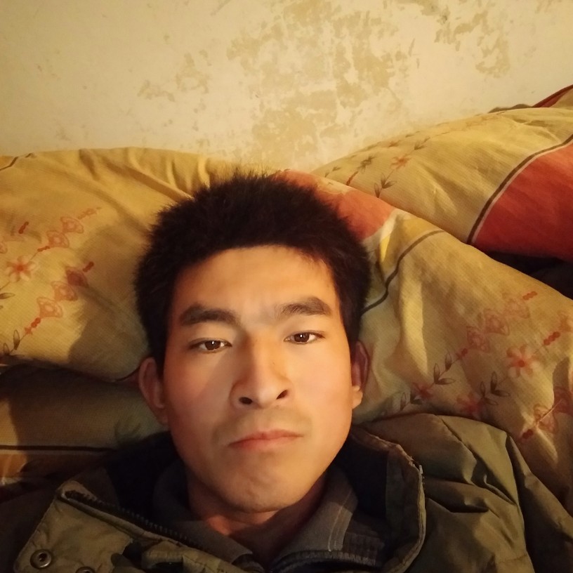 聪慧西牛的照片