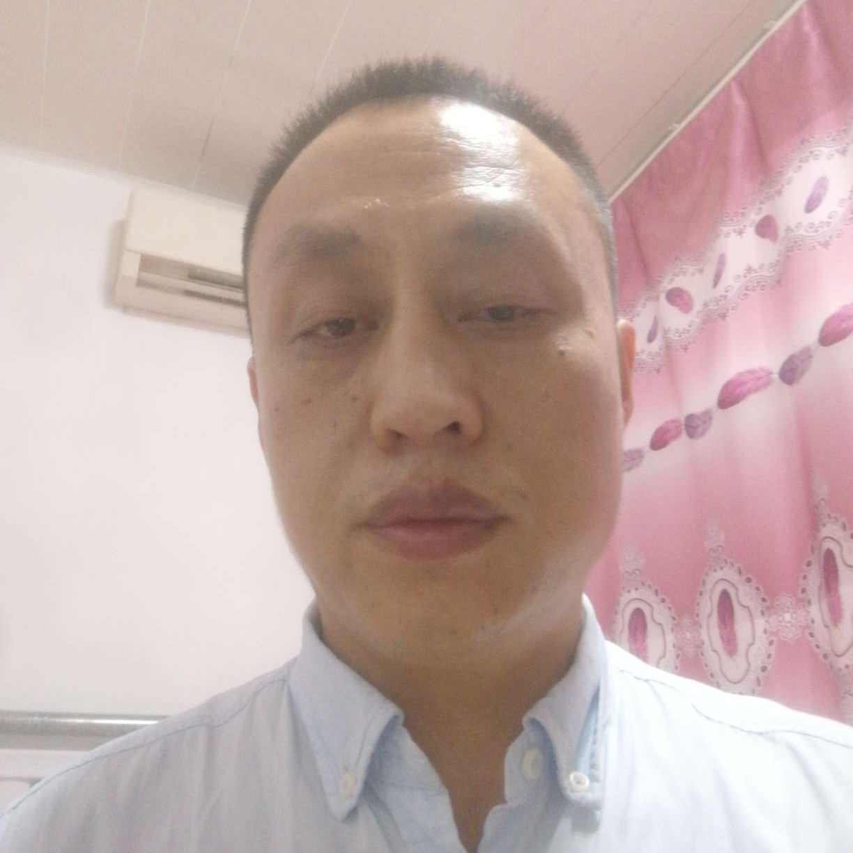 春天已到的照片