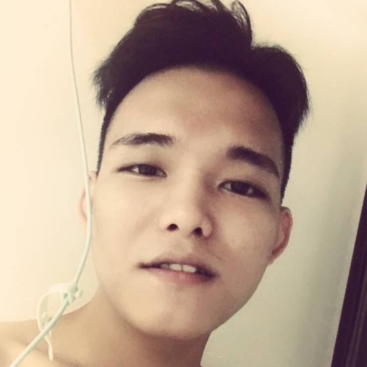黑马的照片