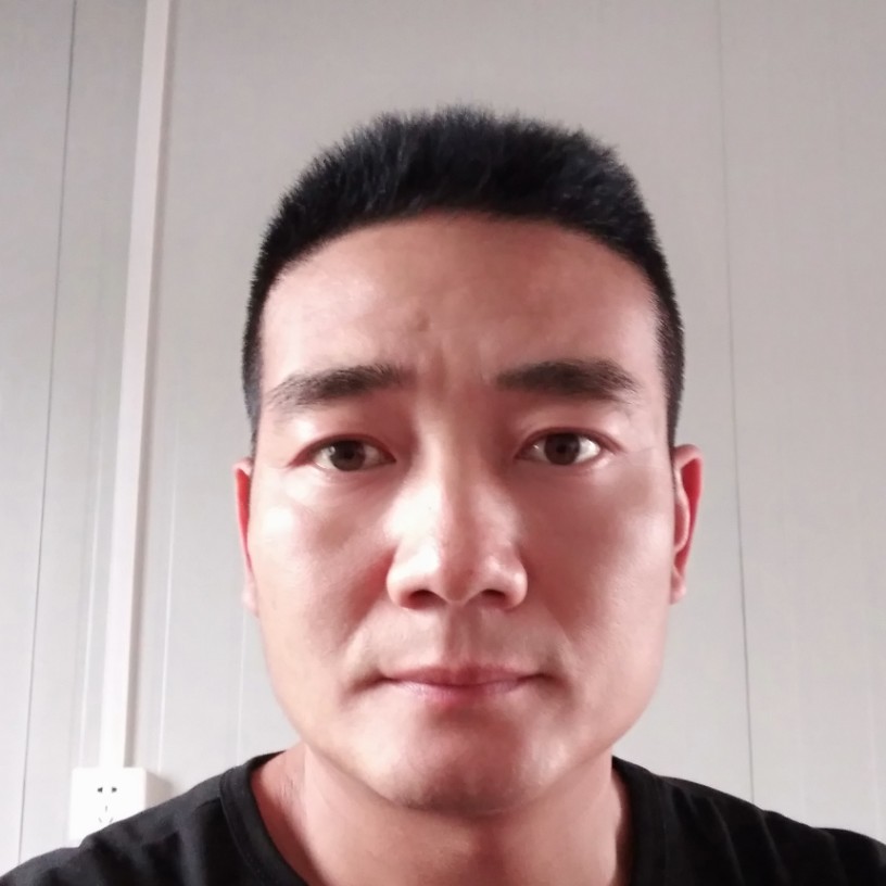 仙人掌愿活力的照片