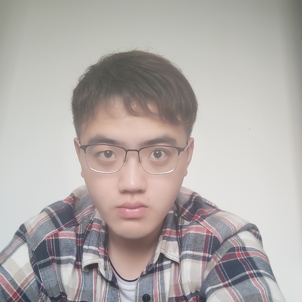DIODA的照片