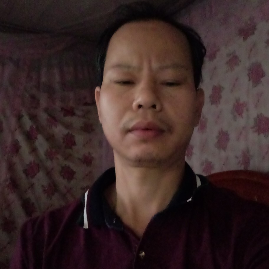 杏花天的照片