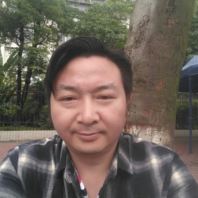小鸽子的淡的照片