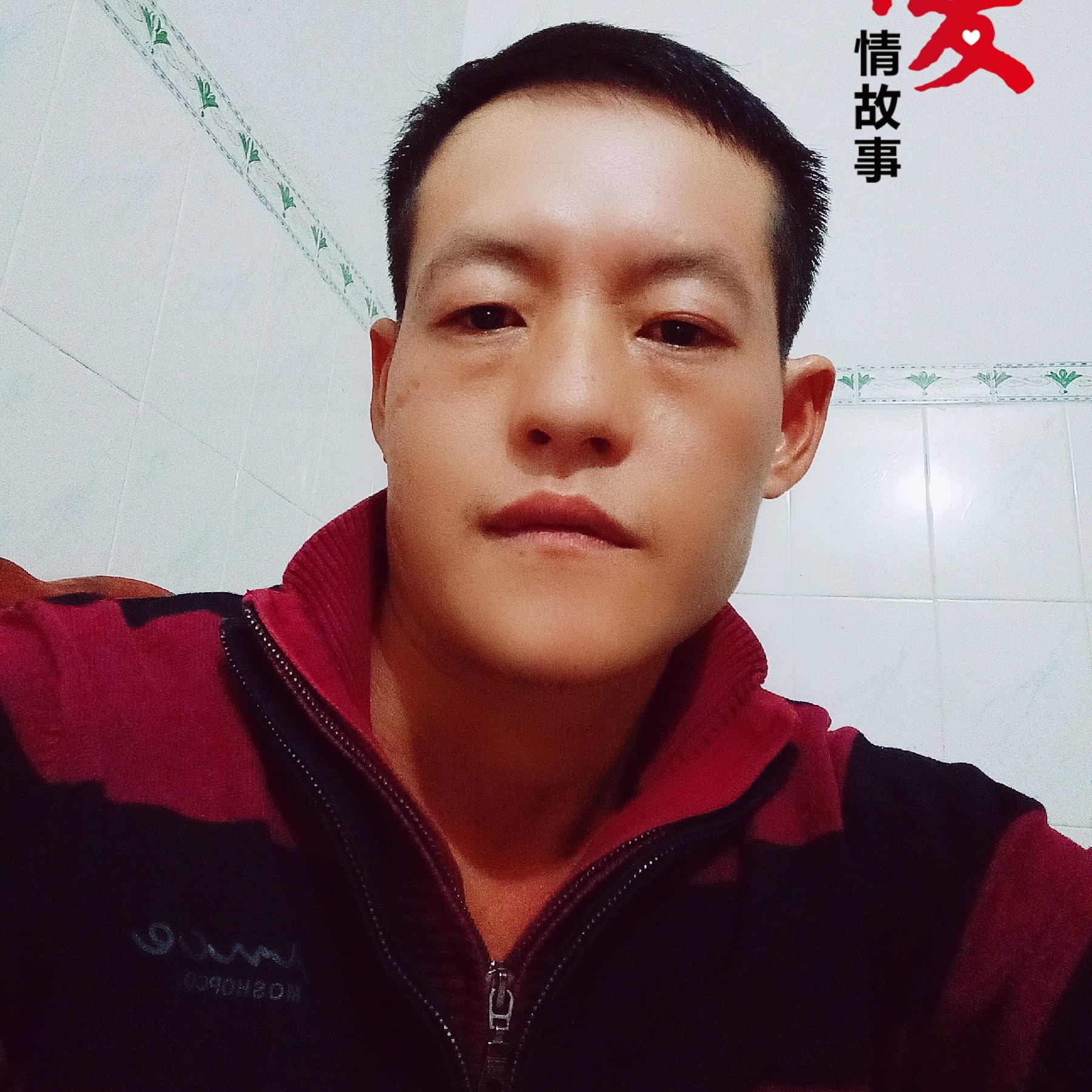 茉莉演变默默的照片