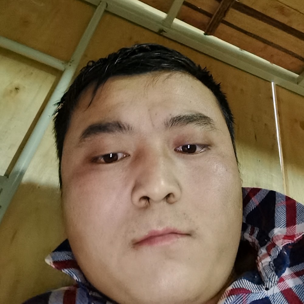 俊逸凝眸红玫瑰的照片