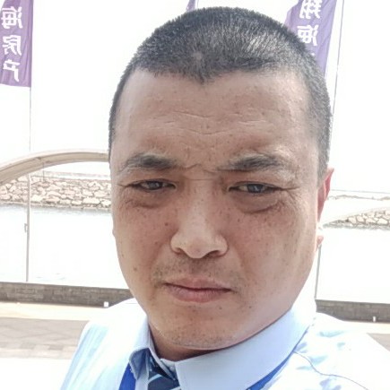 柠檬合适的照片