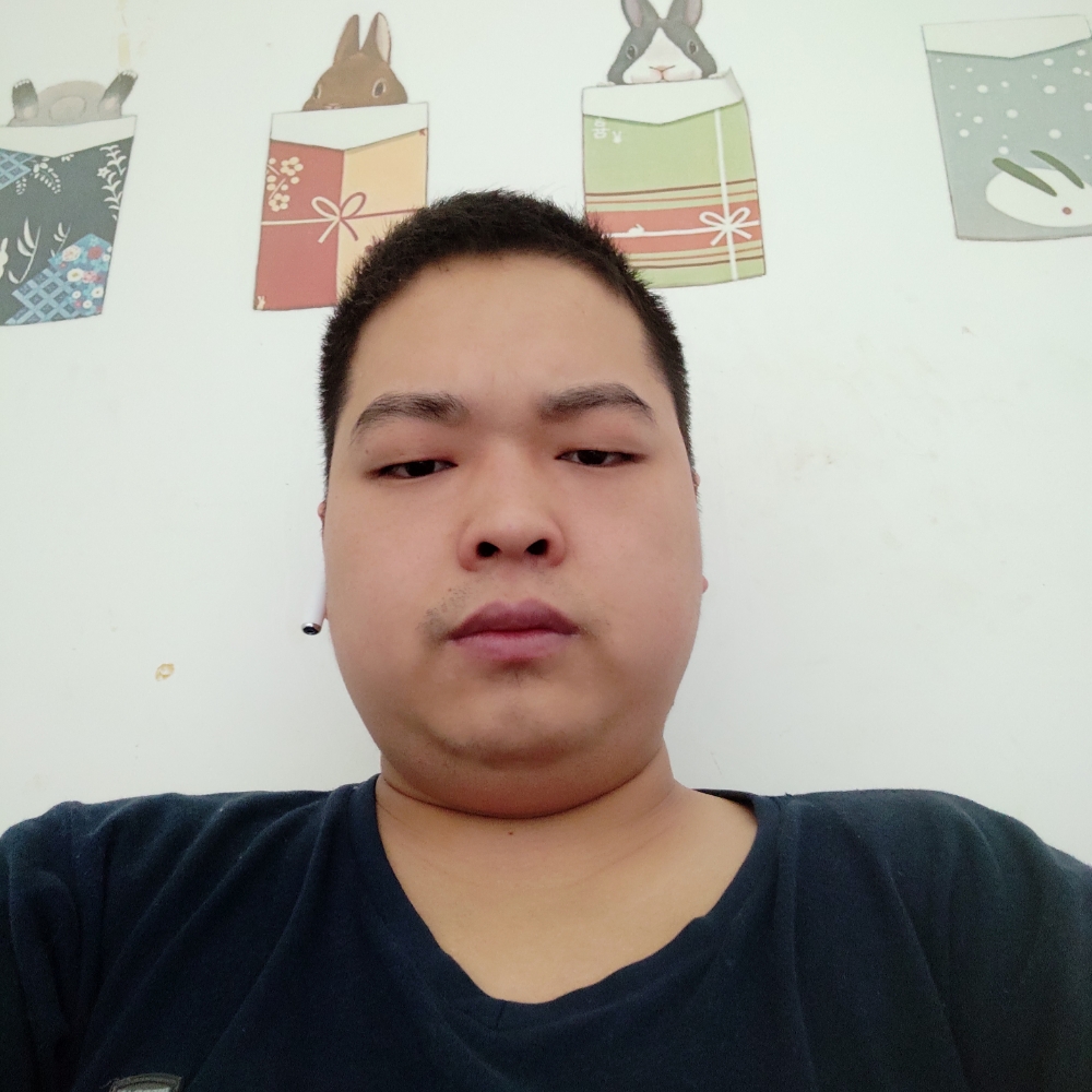 小熊鹰的照片