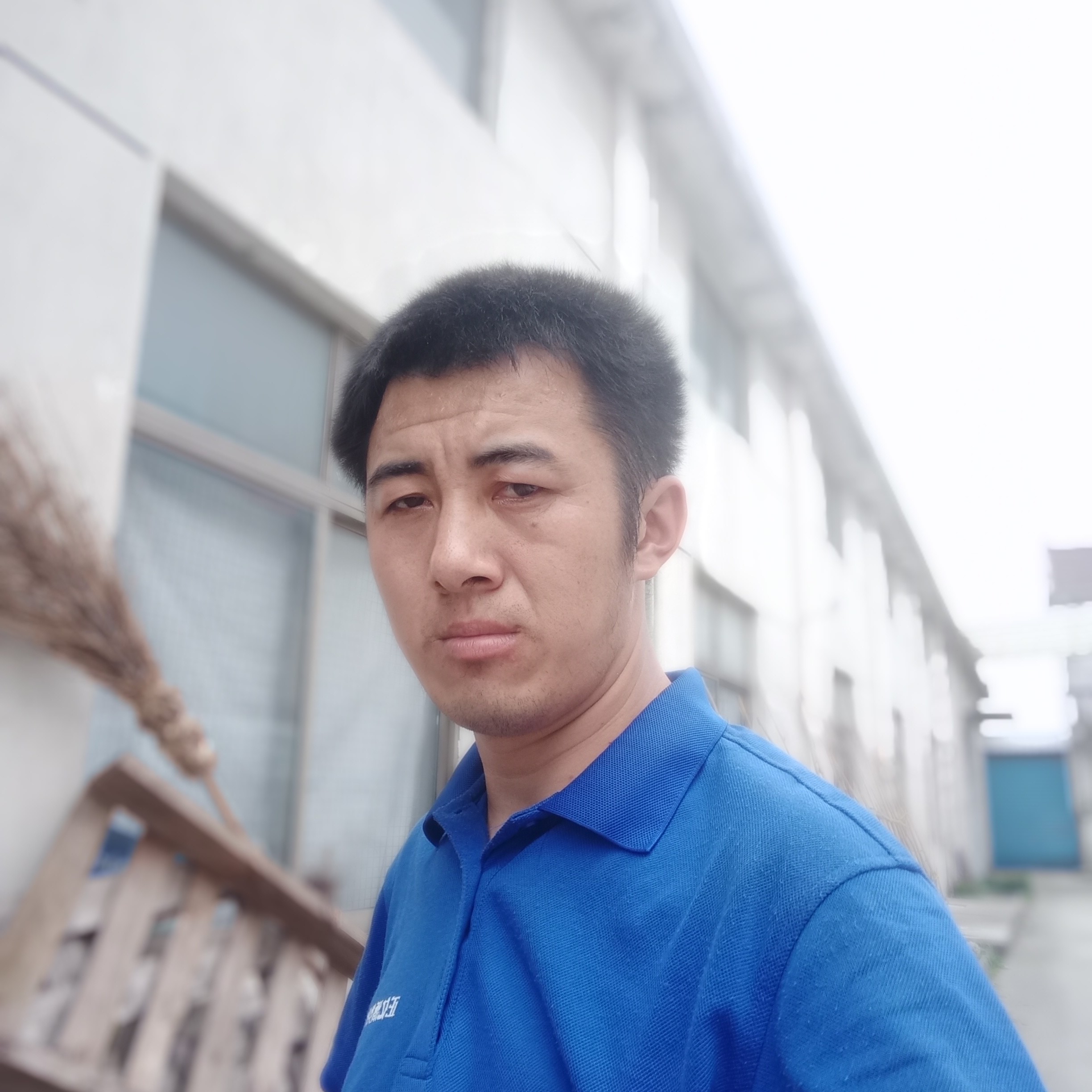 网络闻明媚的照片