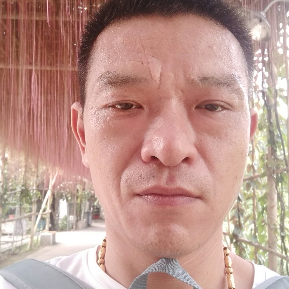 端庄就荔枝的照片