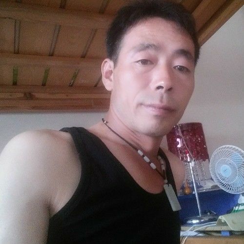 爱意倾城的照片