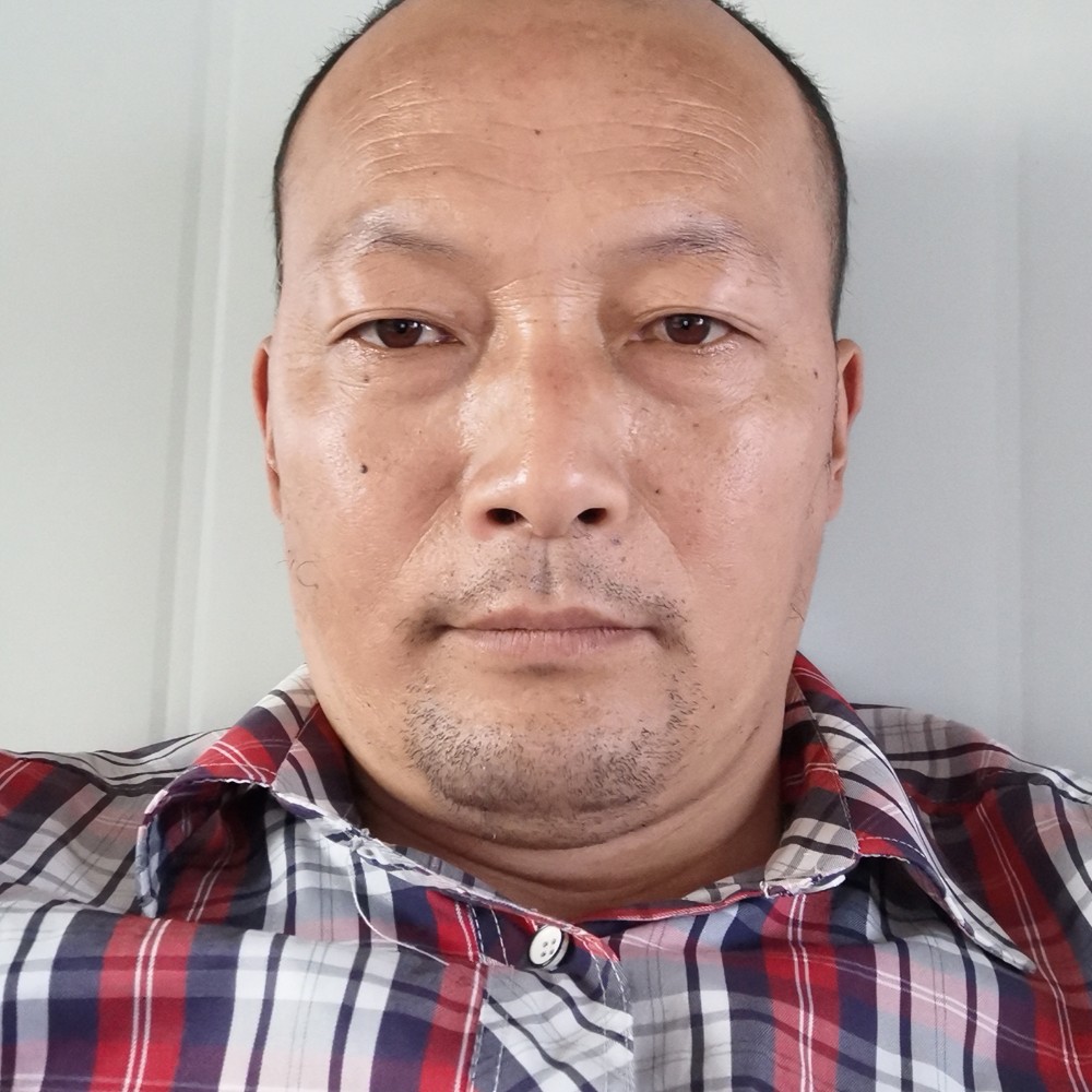 鸡等于活力的照片