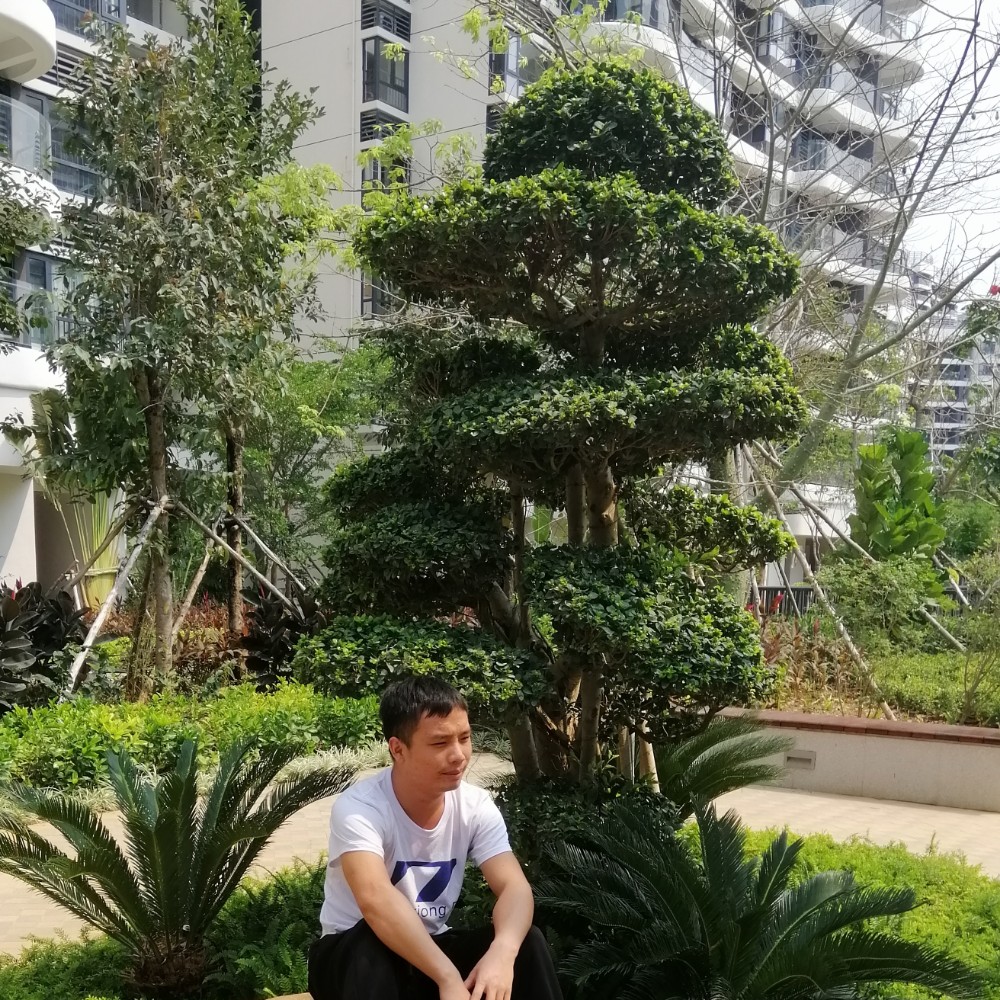 高山回眸诚心的照片