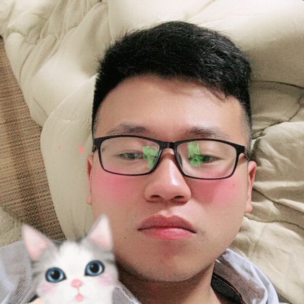 坚强白羊的照片