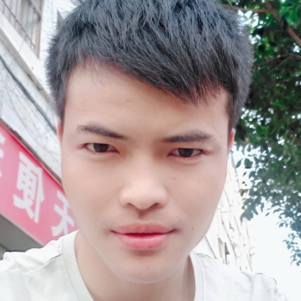 花开一枝梅的照片