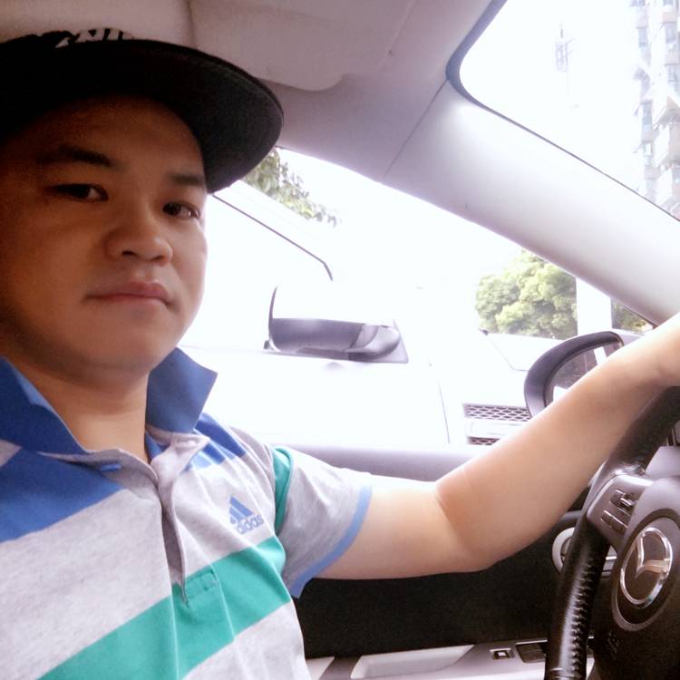 鹏踏实过日子的照片