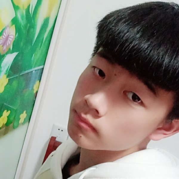 傻傻爱恋爱情的照片