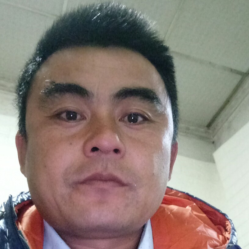 懦弱相许舒荷的照片