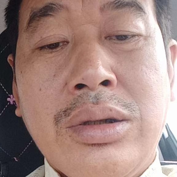 小天鹅无心的照片