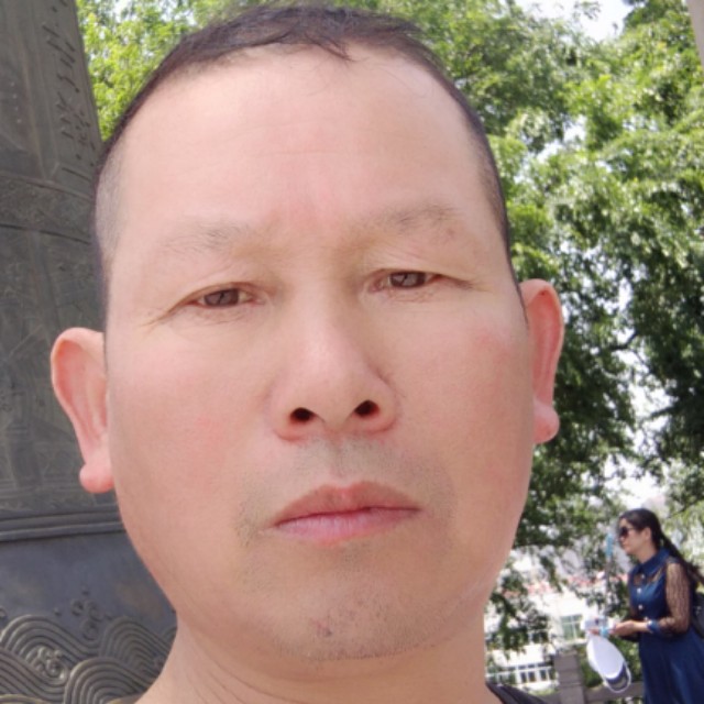甜甜拾忆白猫的照片