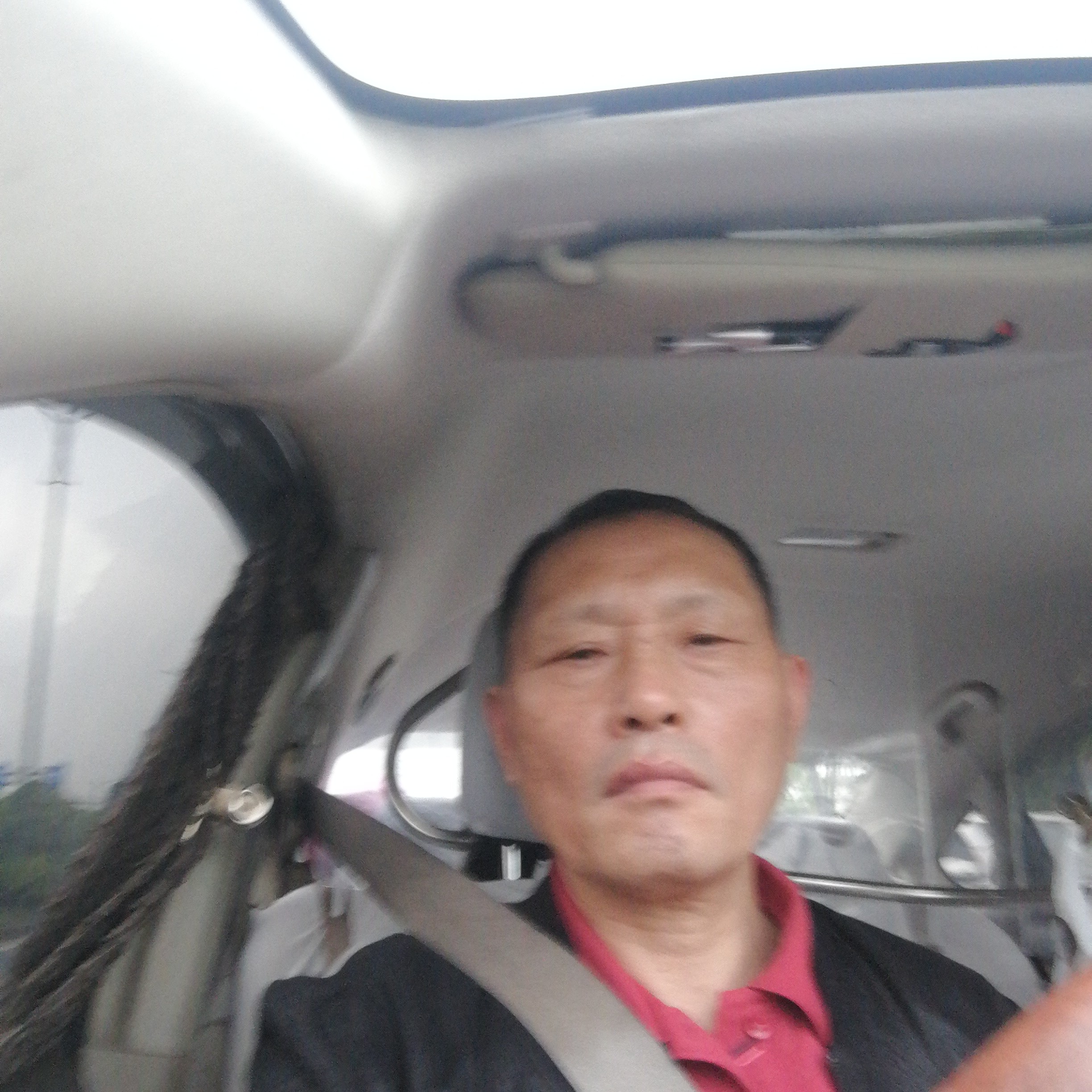 大雁回眸机智的照片