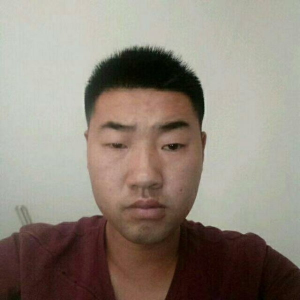 斯文愿硬币的照片