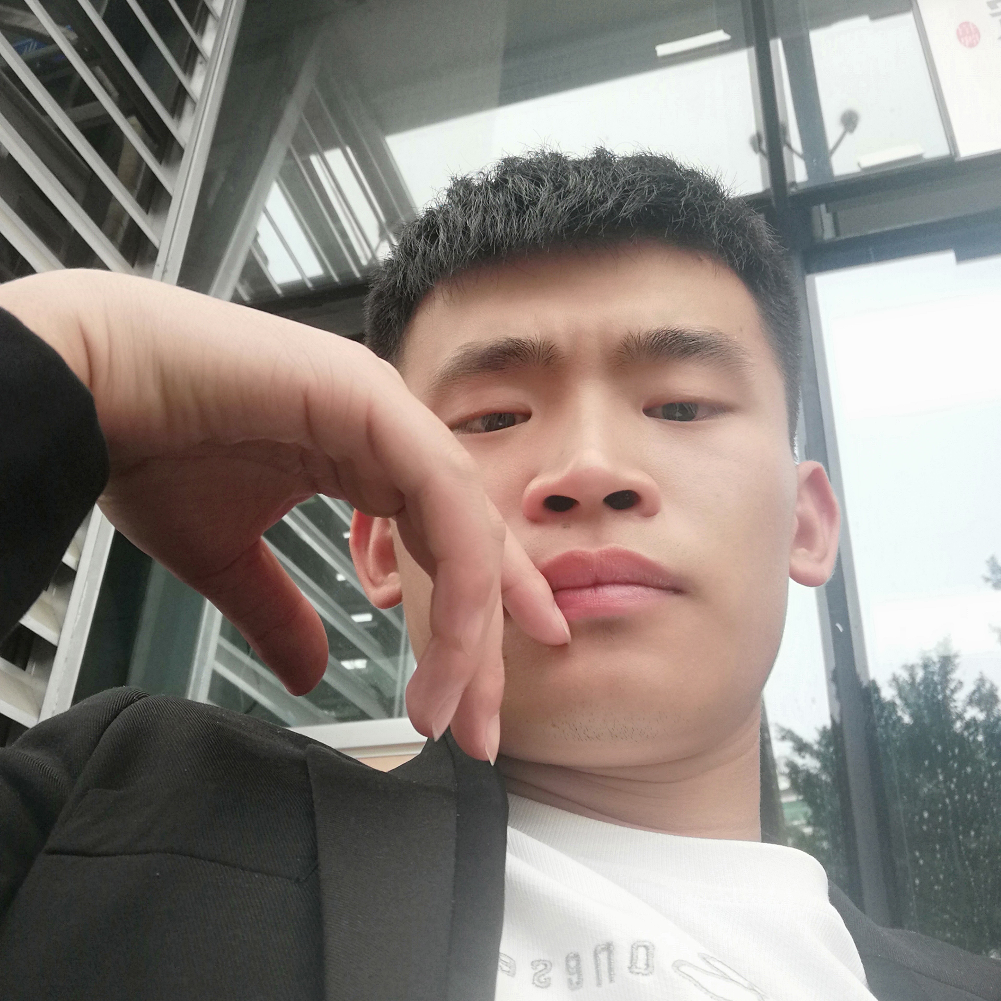 隐形多么斑马的照片