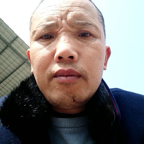 爱你一万年是真的的照片