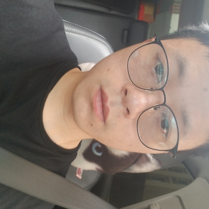 谎言家的照片