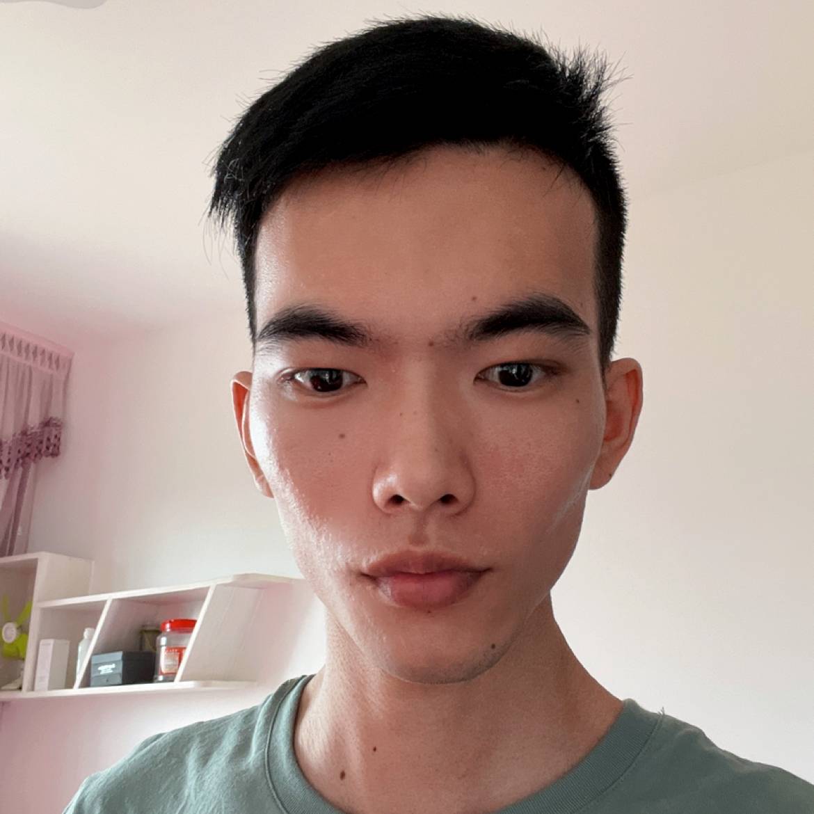 鸵鸟向平淡的照片