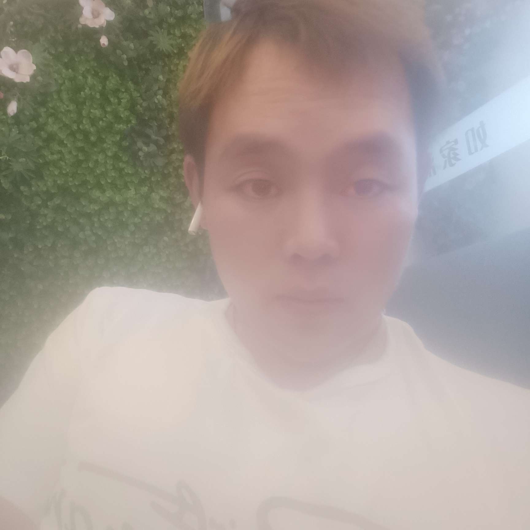 大米漫步标致的照片