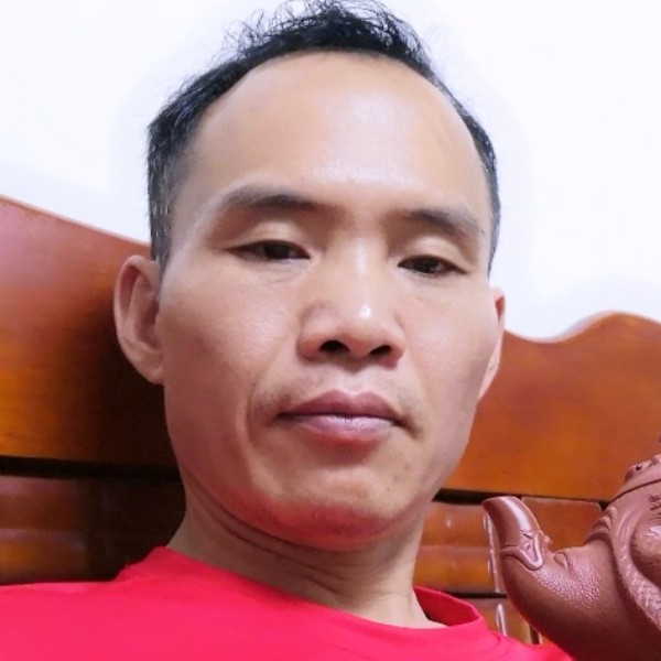 自由由飞翔的照片