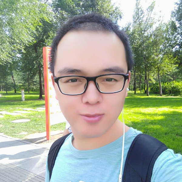愤怒的大鸡的照片