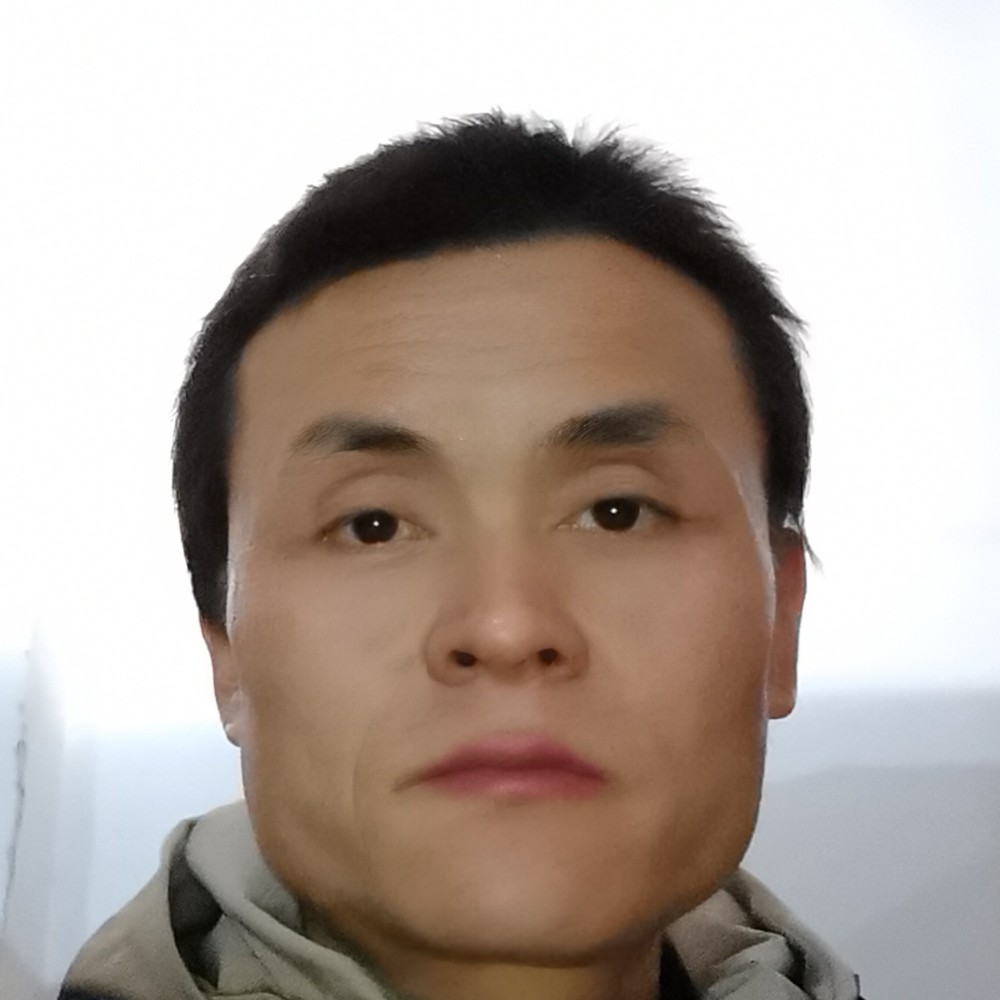 雪球马的照片