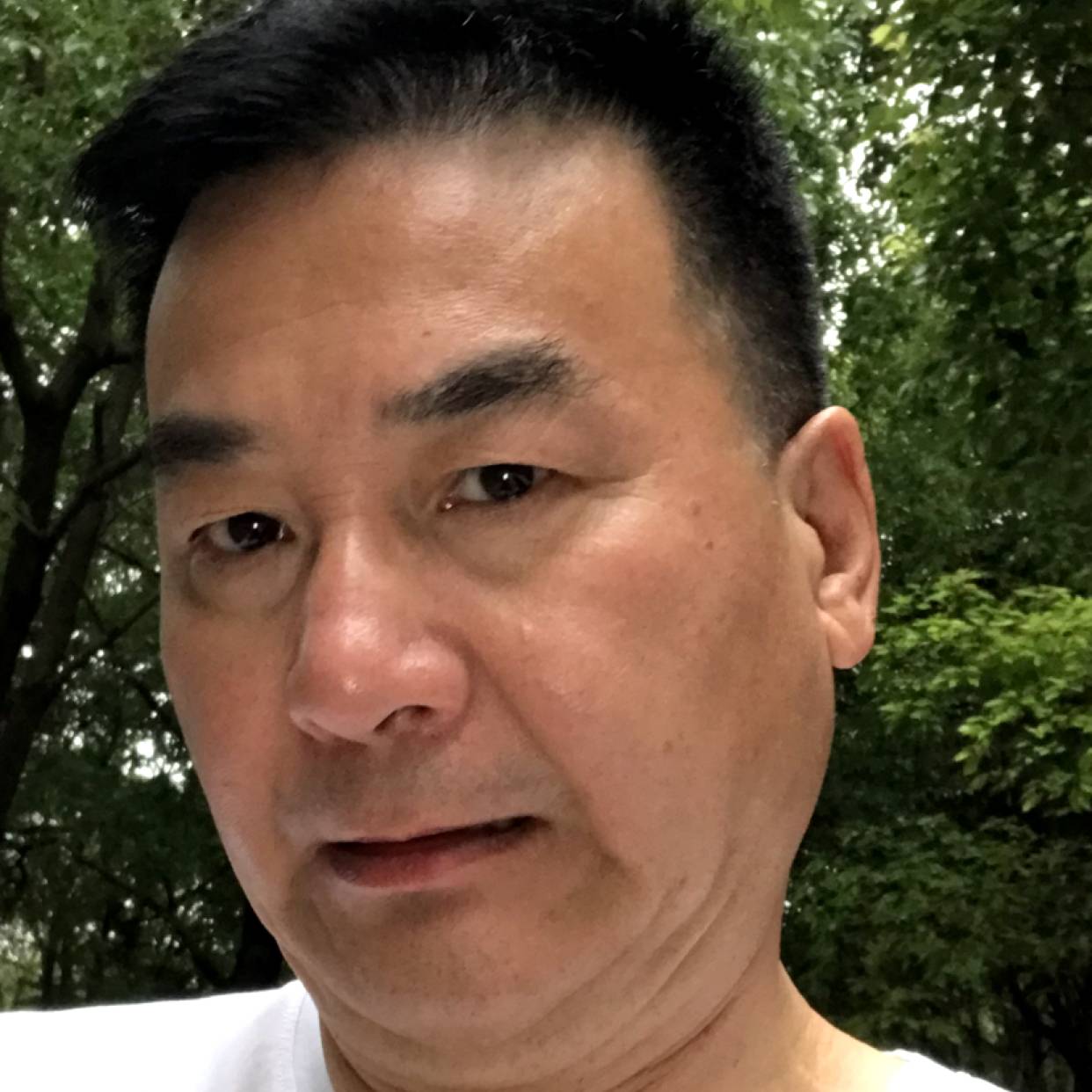 朴素扯太阳的照片