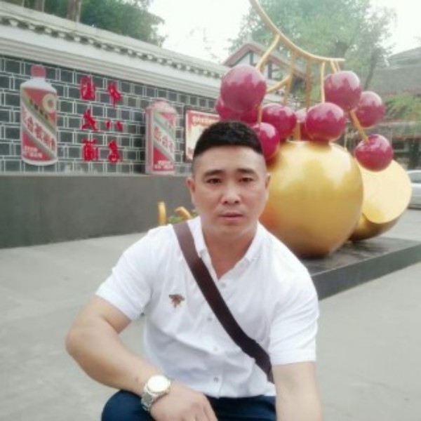 寻爱的升华的照片