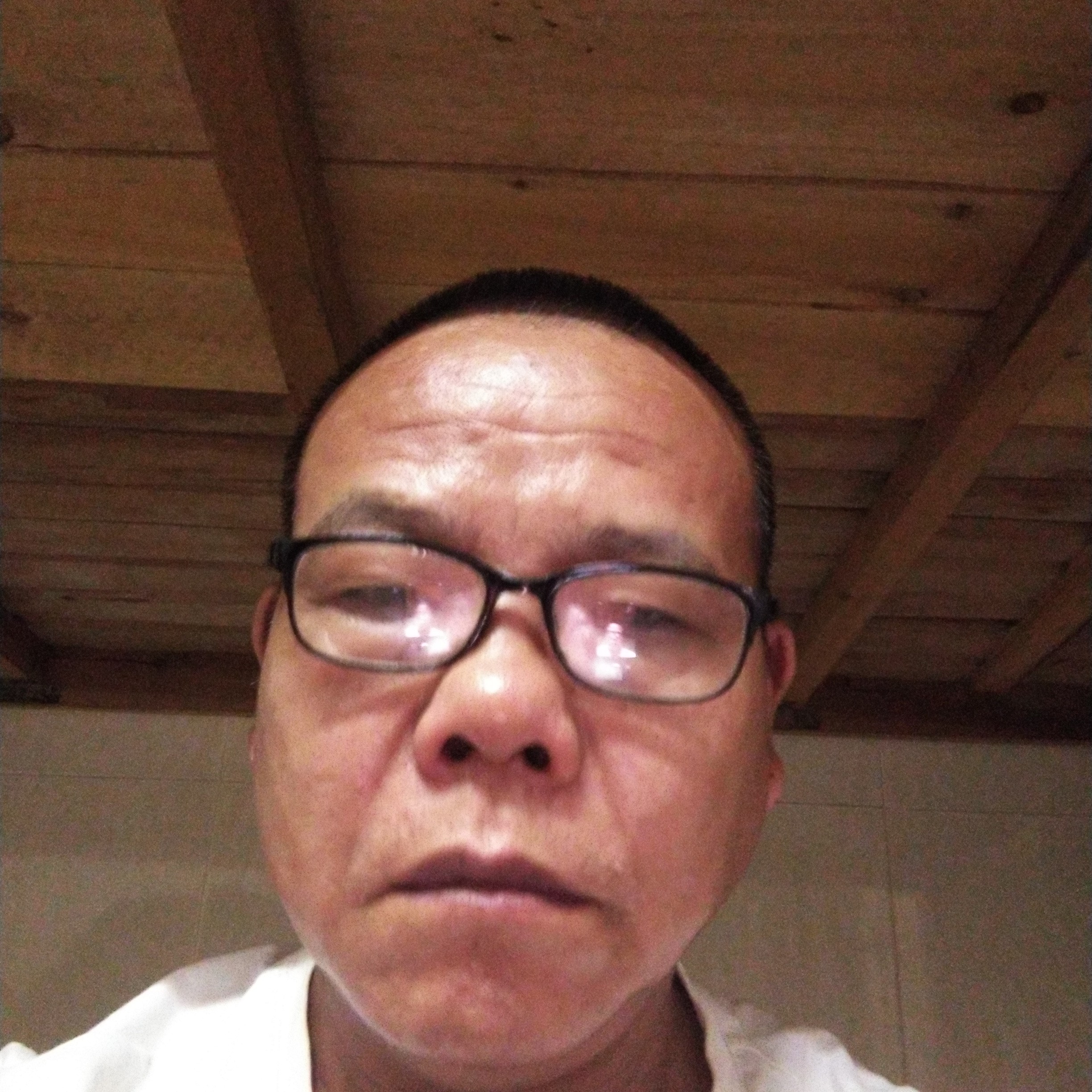 稳重踢狗的照片