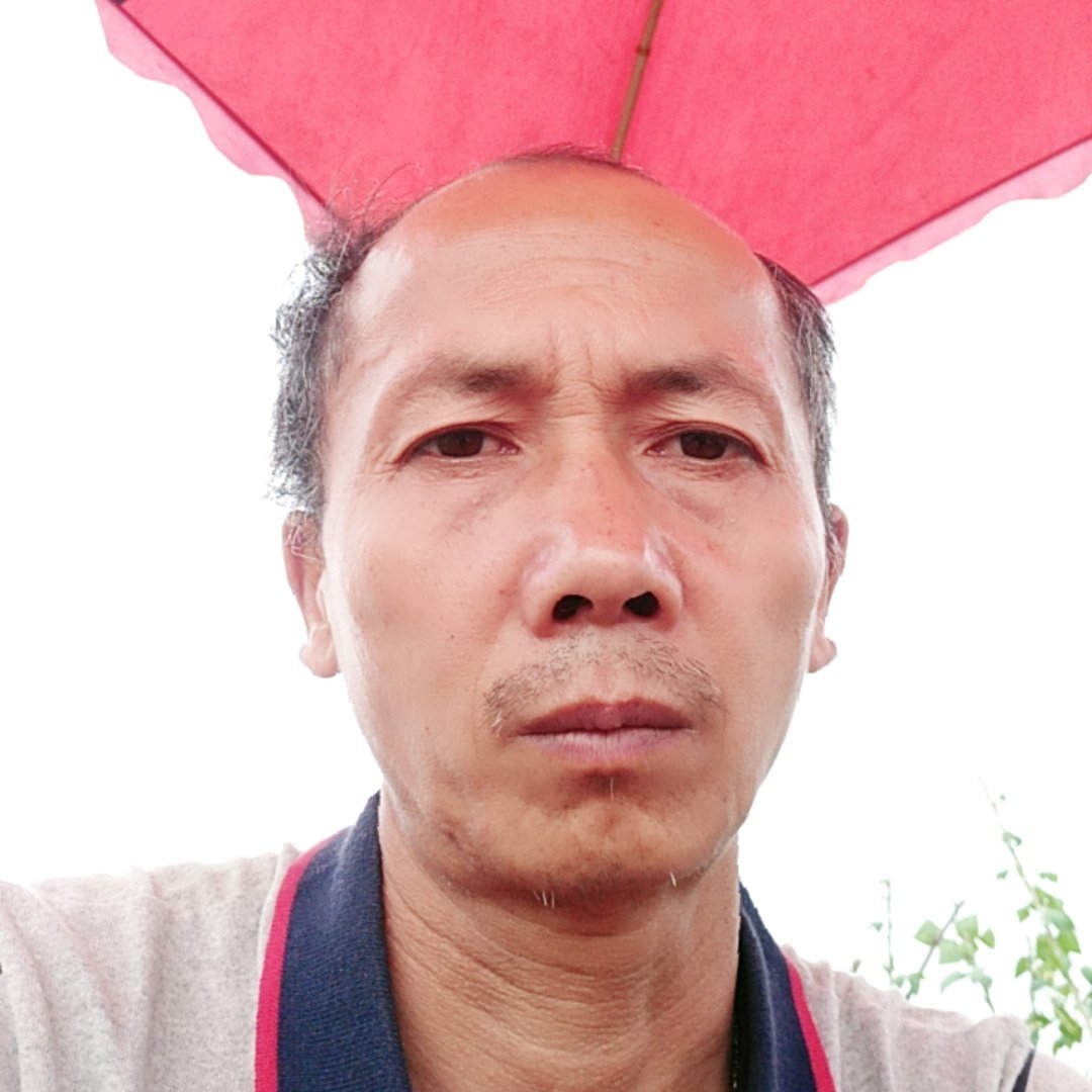 谁等于可乐的照片