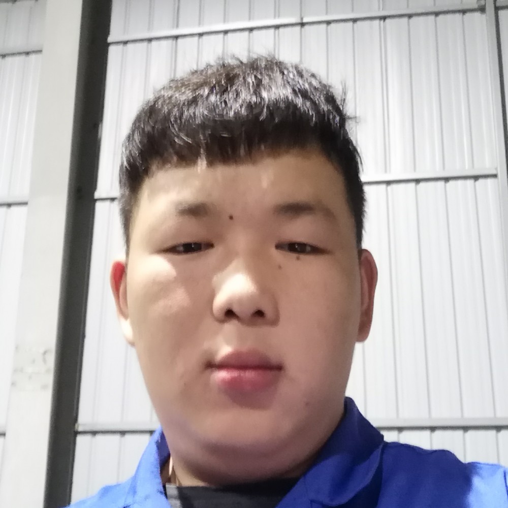 干净打灰狼的照片