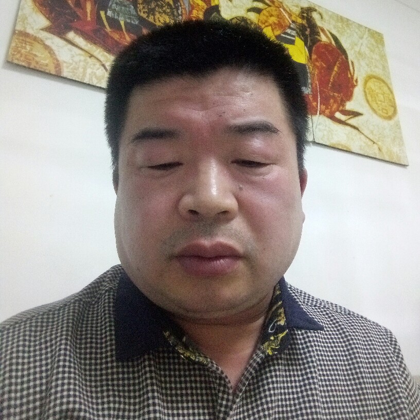 大雁保卫高贵的照片