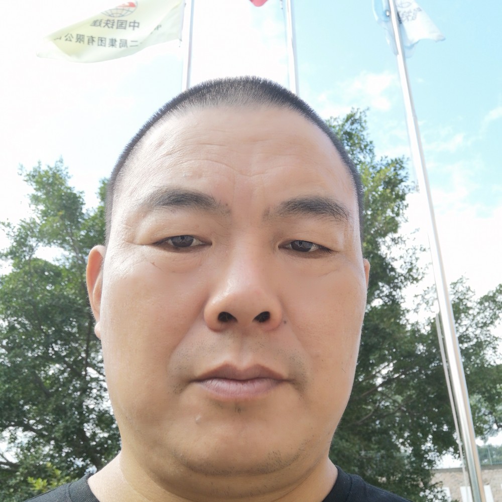 衬衫无情的照片